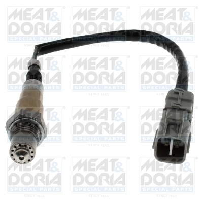 Oxygen Sensor